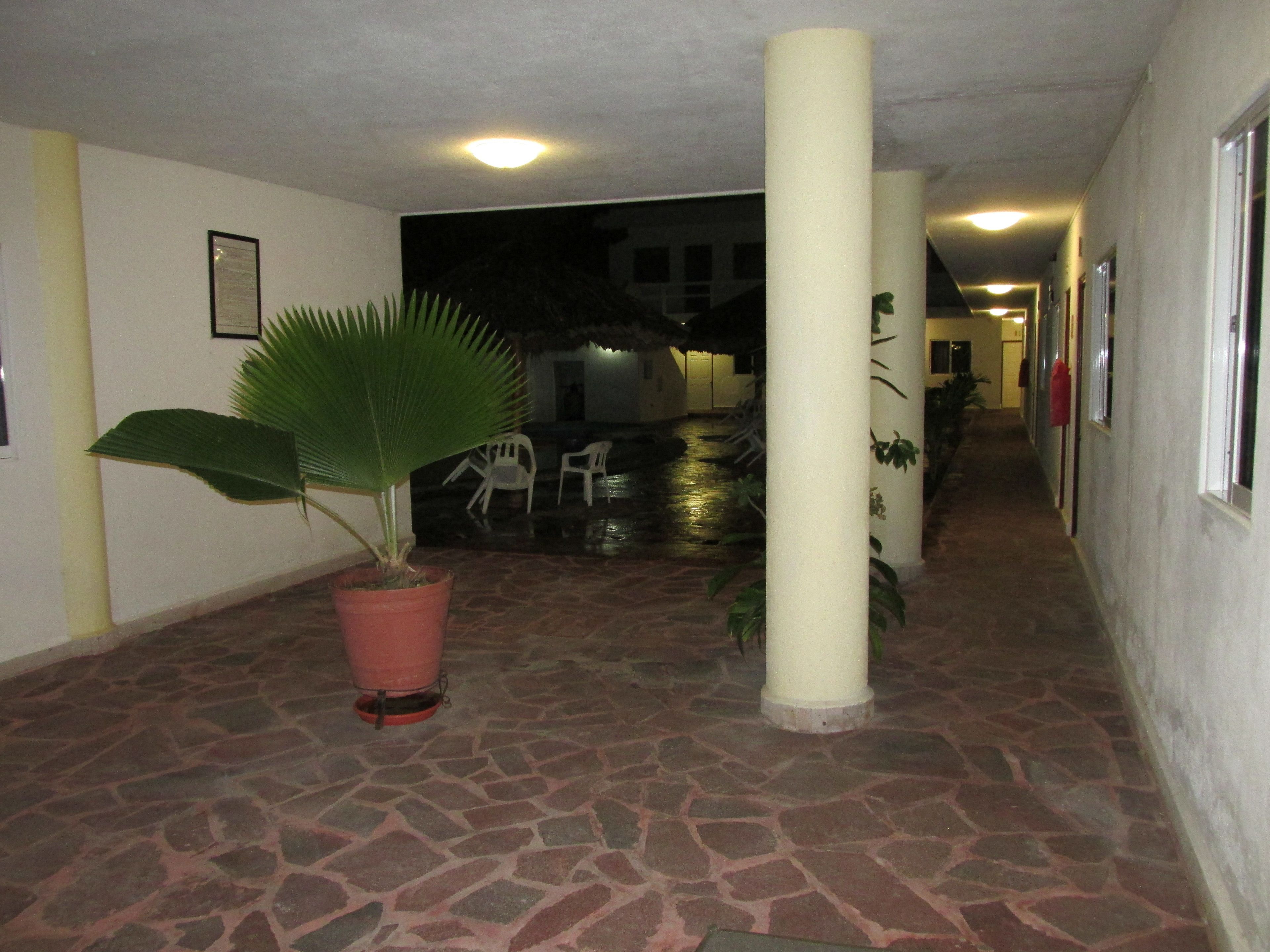 Foto - Hotel Albatros Palace