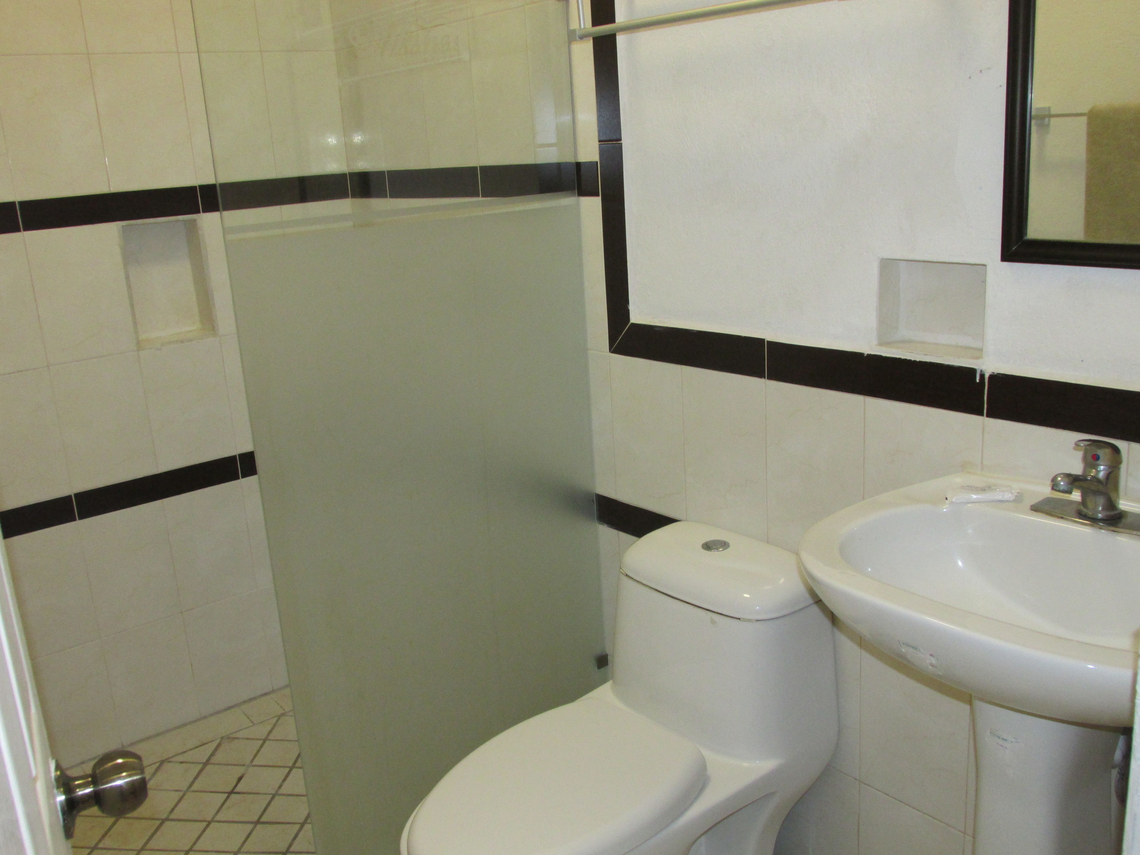 Foto - Hotel Albatros Palace