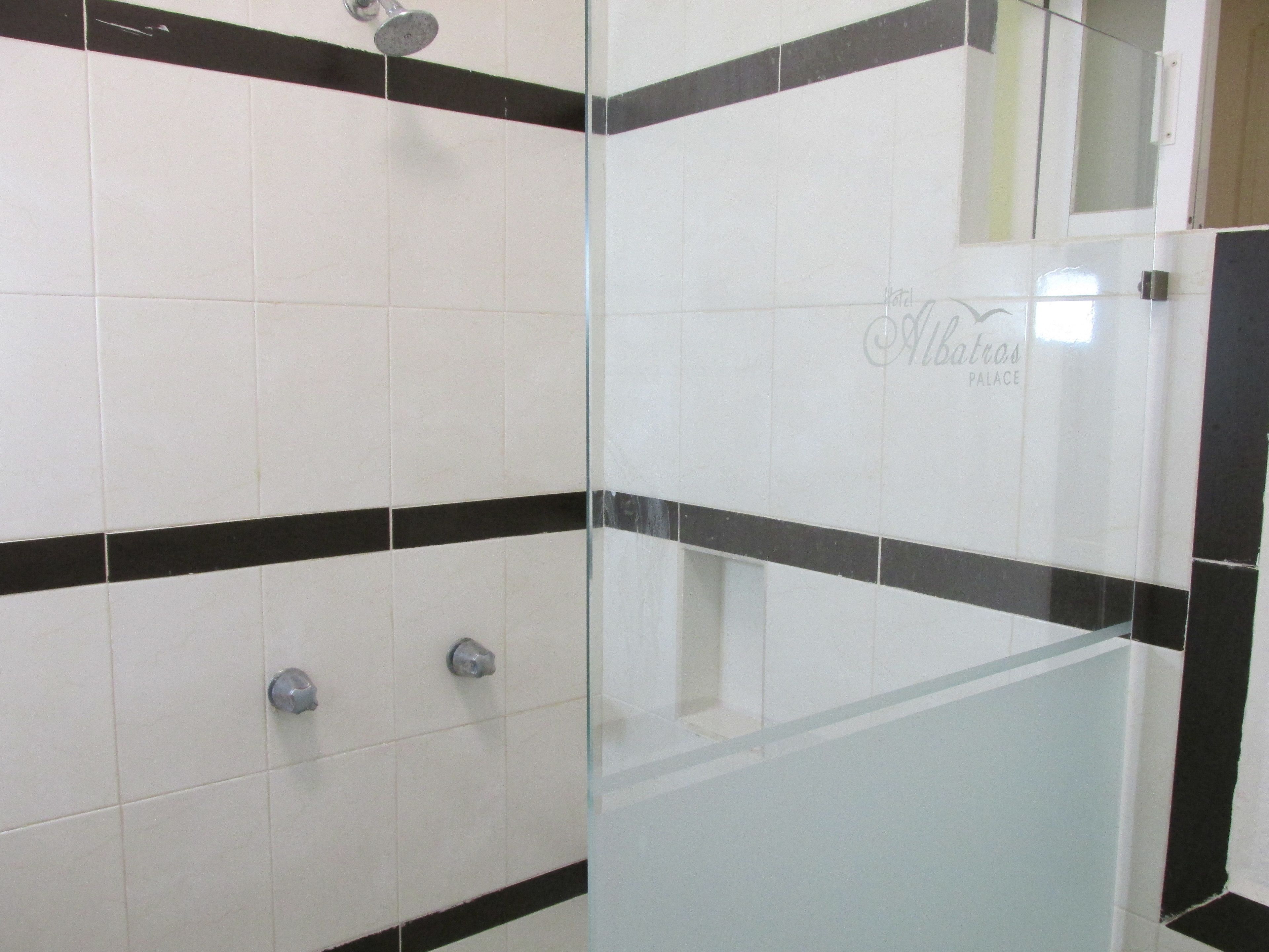 Foto - Hotel Albatros Palace