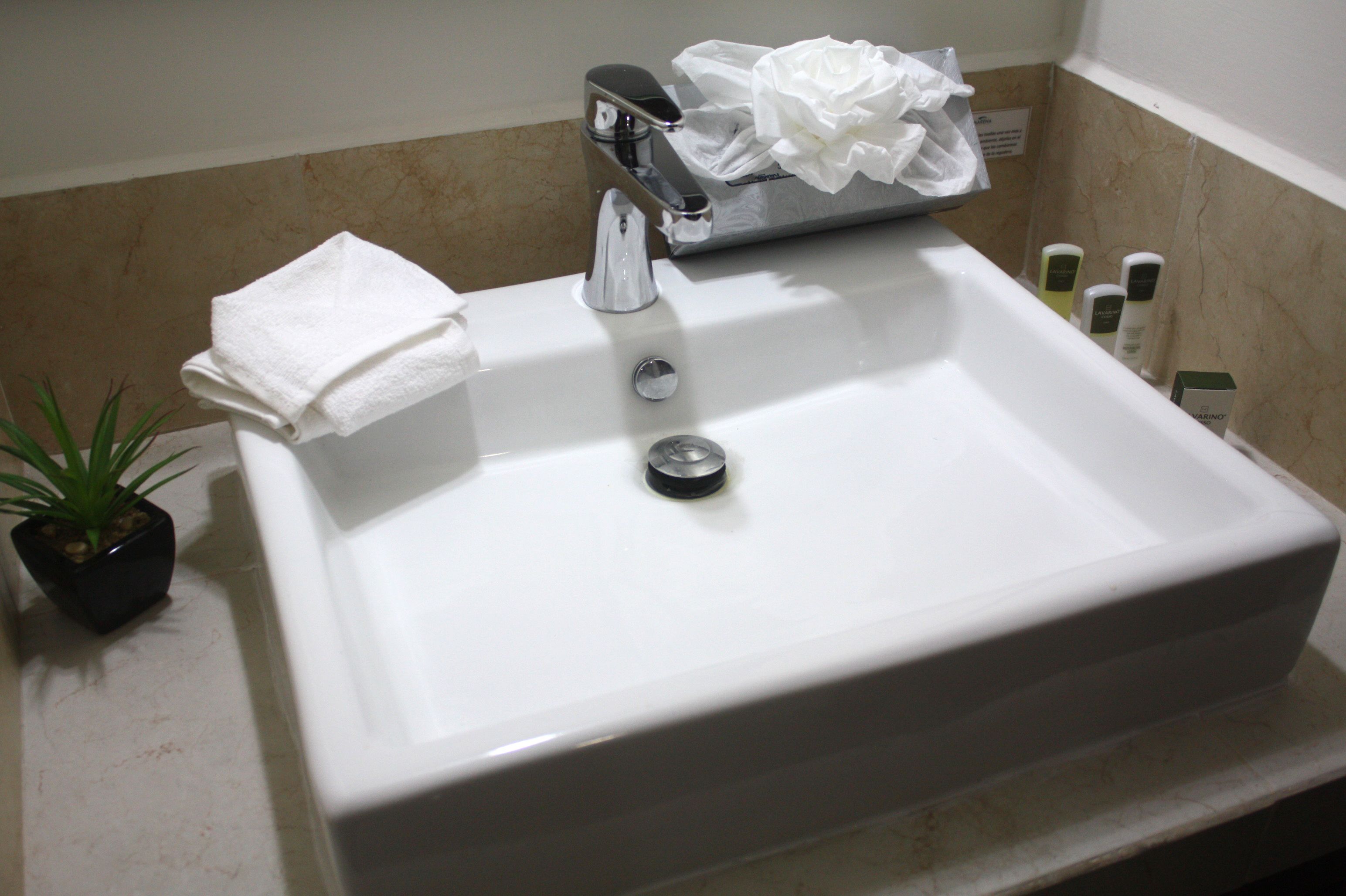 double suite | bathroom sink