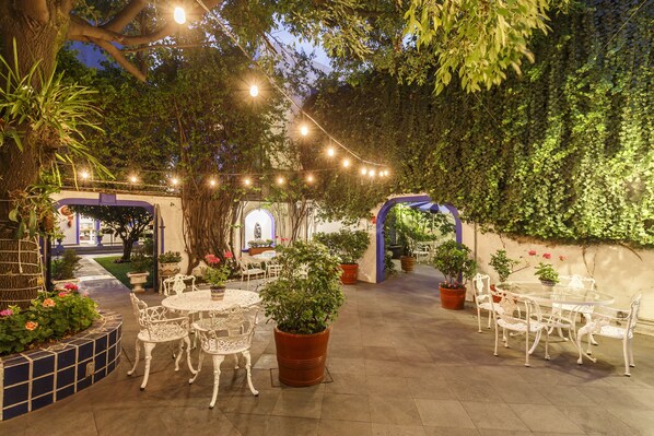 Courtyard - Hotel Casa González (Mexico City)