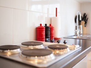 Großer Kühlschrank, Mikrowelle, Herdplatte, Geschirrspüler