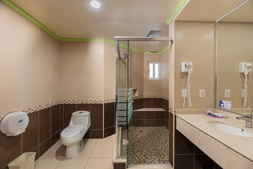 Un baño con inodoro, ducha y lavamanos con espejo.