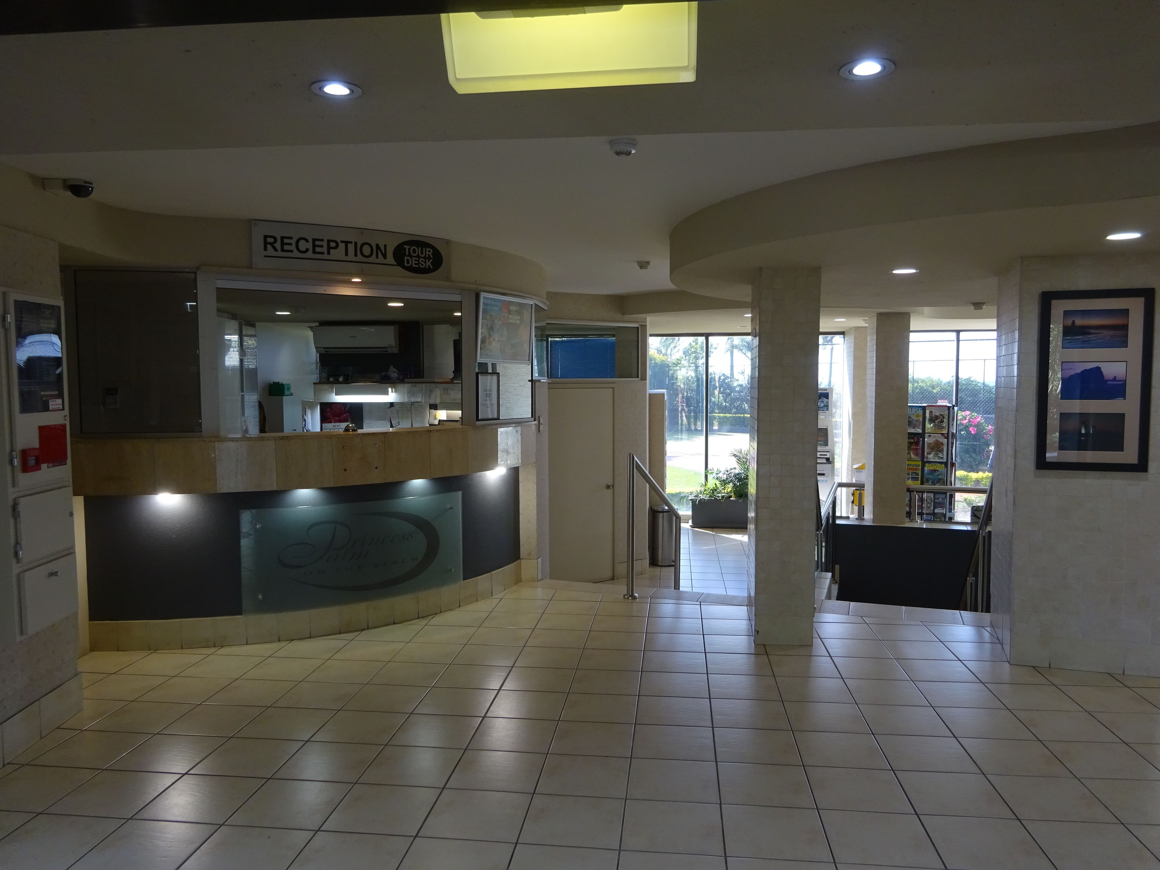 Princess Palm on the Beach — image 30