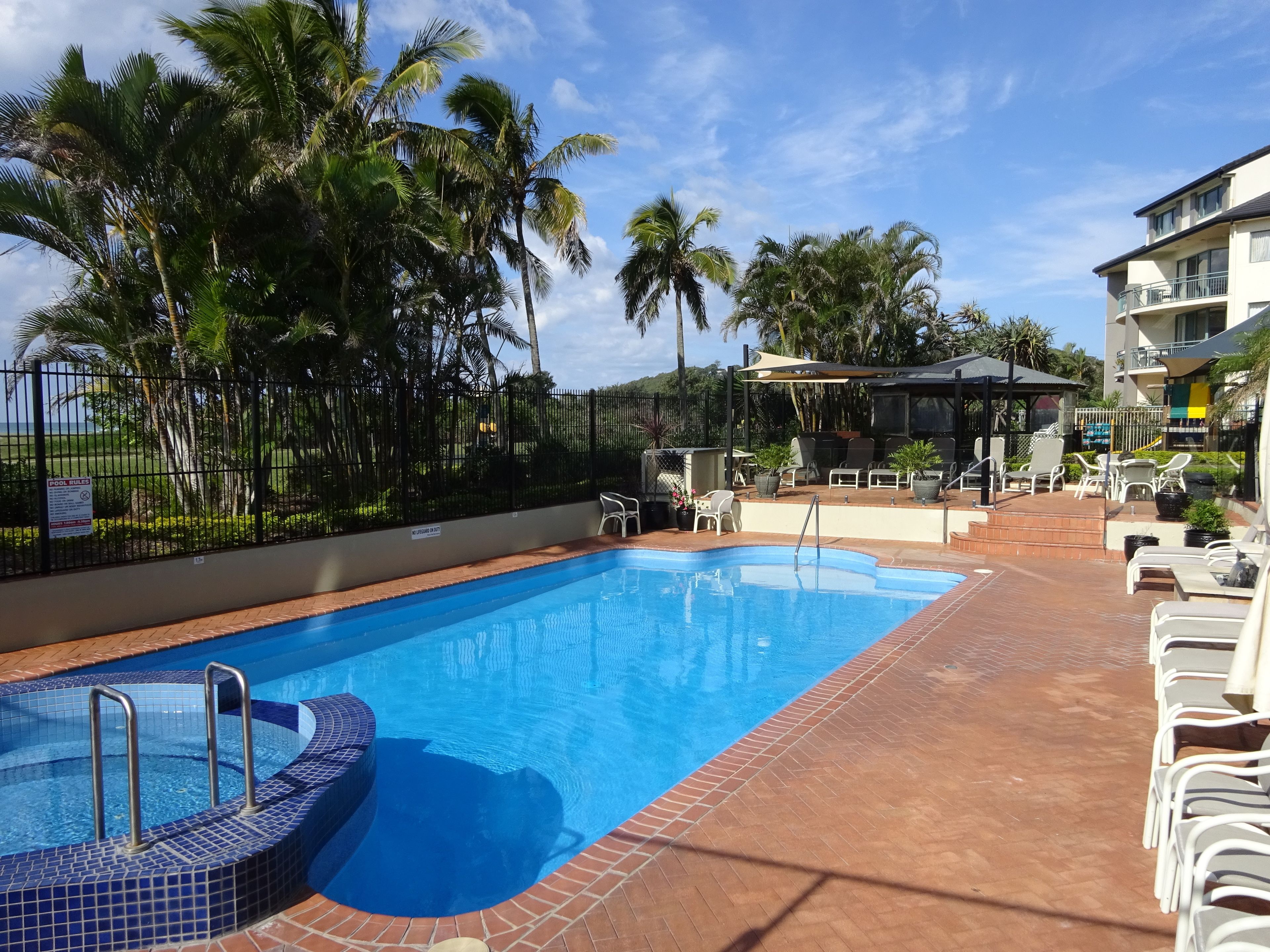 Princess Palm on the Beach — image 3