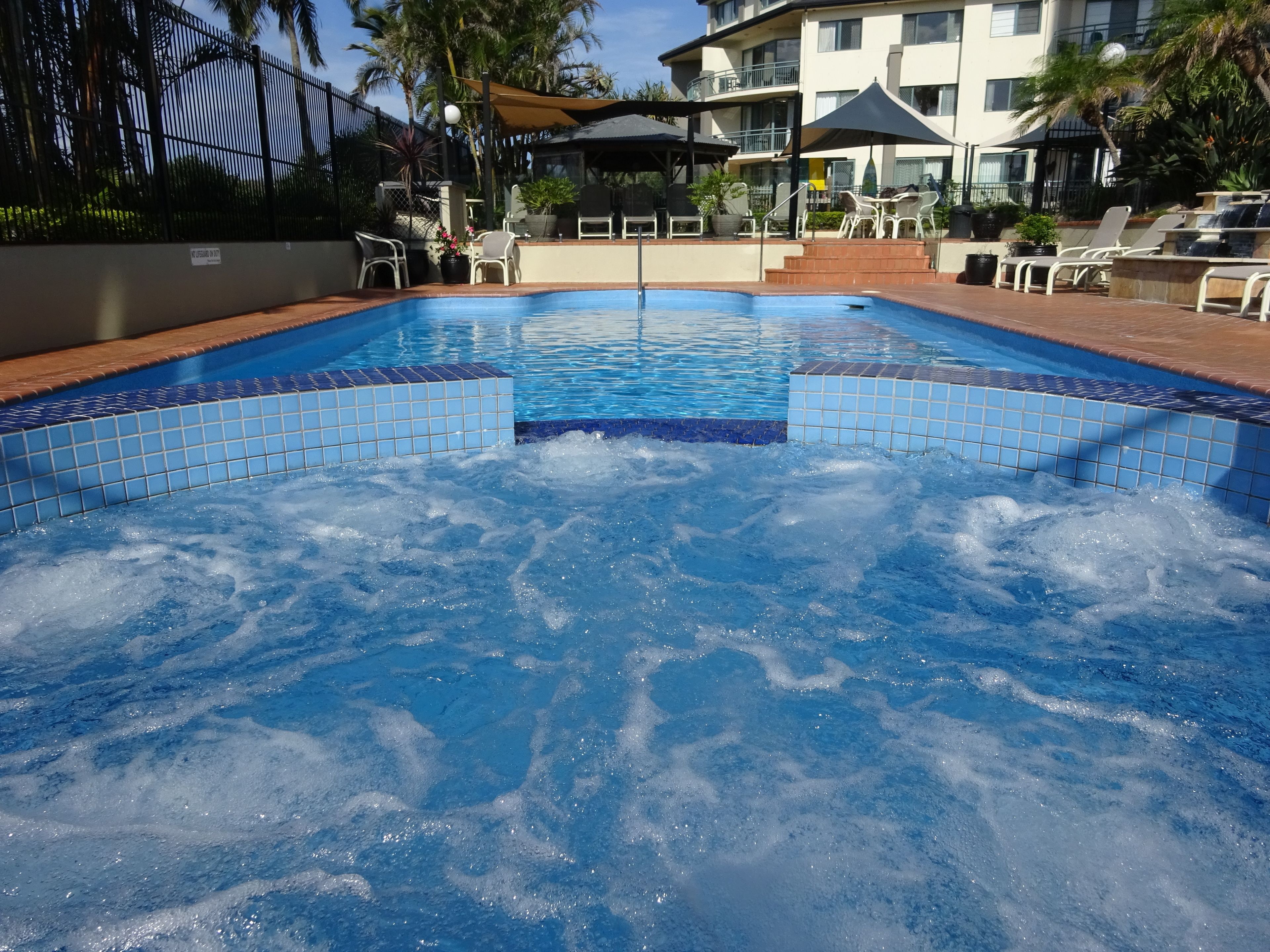 Princess Palm on the Beach — image 4