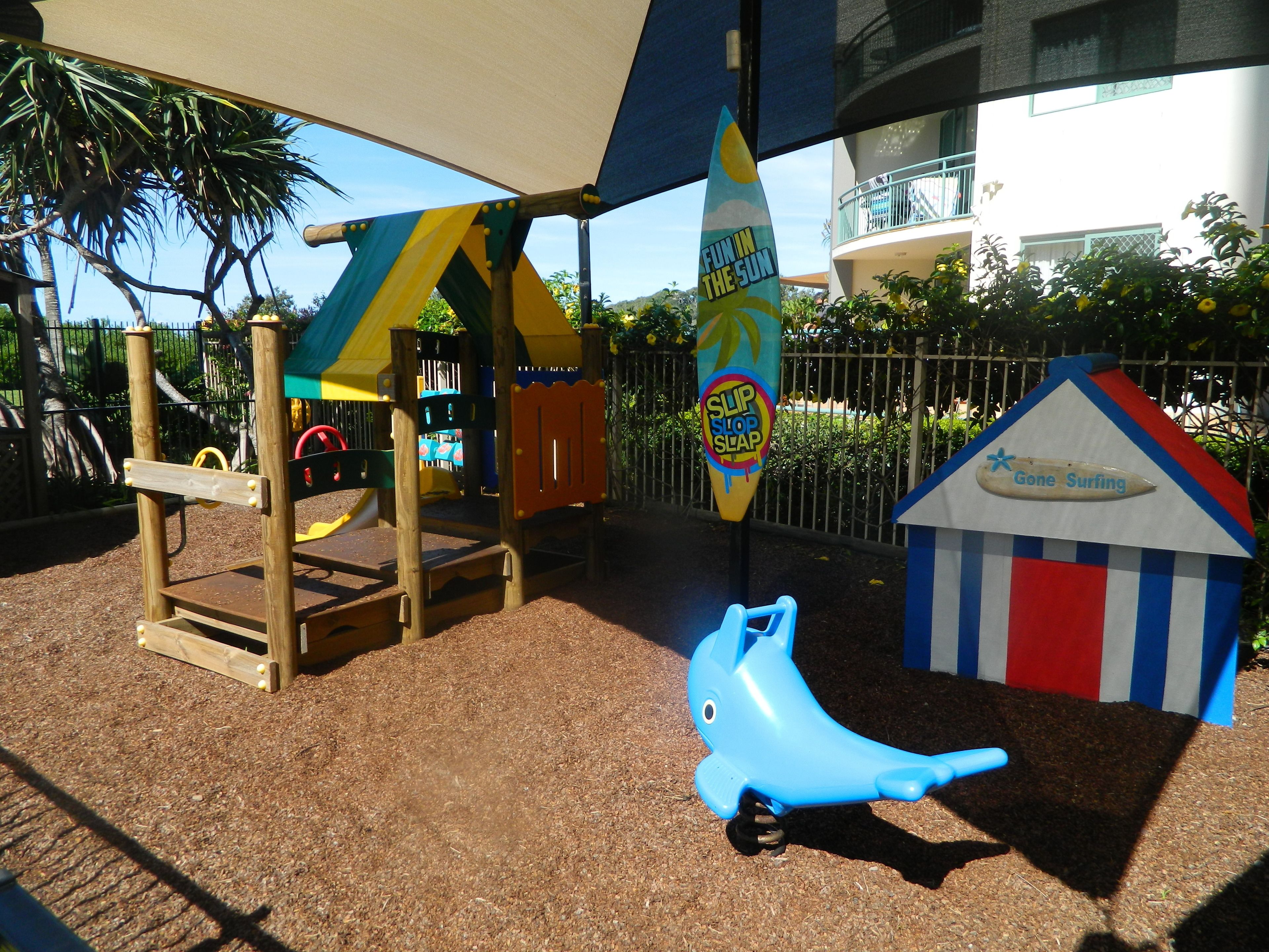 Princess Palm on the Beach — image 24