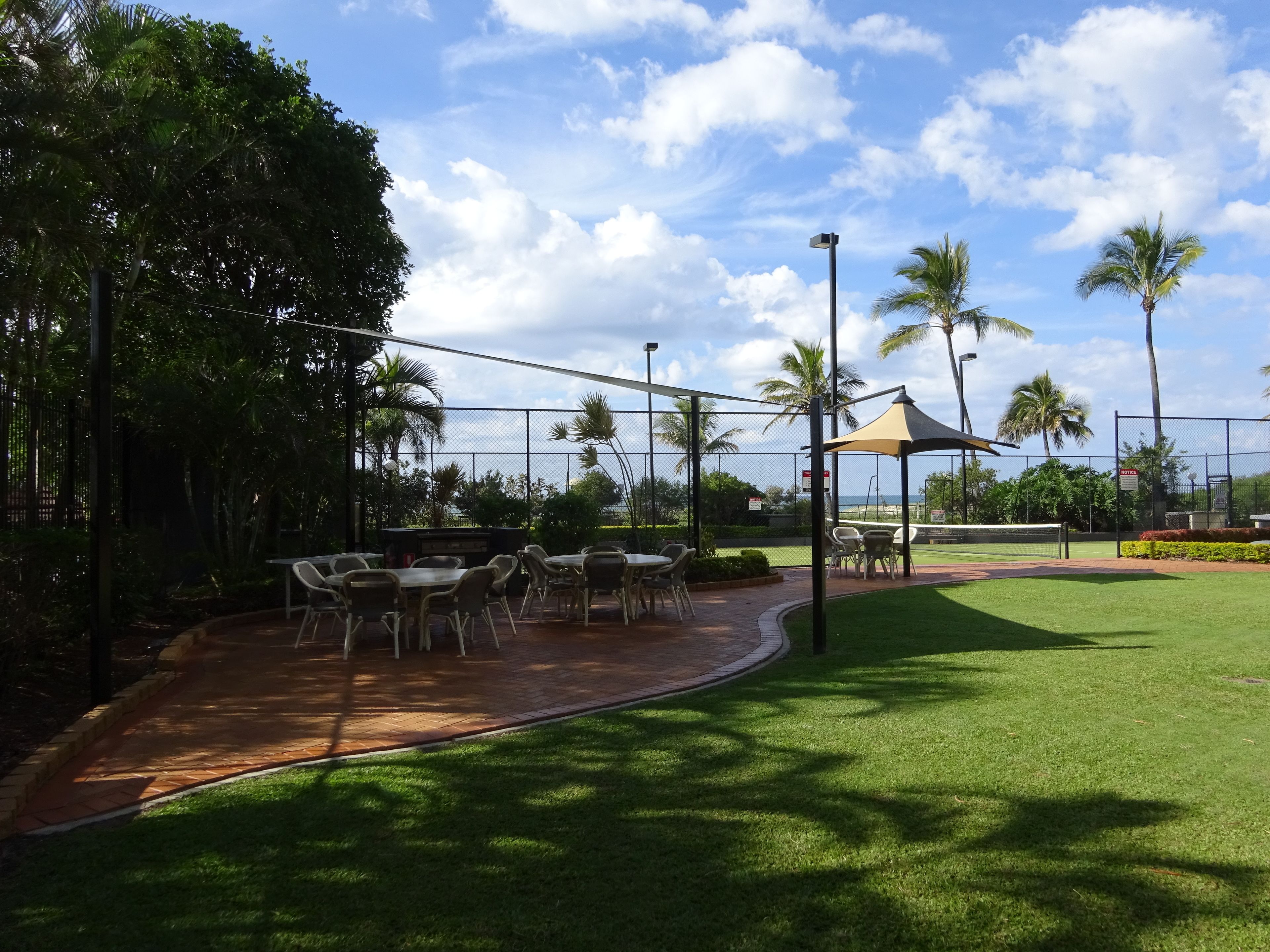 Princess Palm on the Beach — image 21