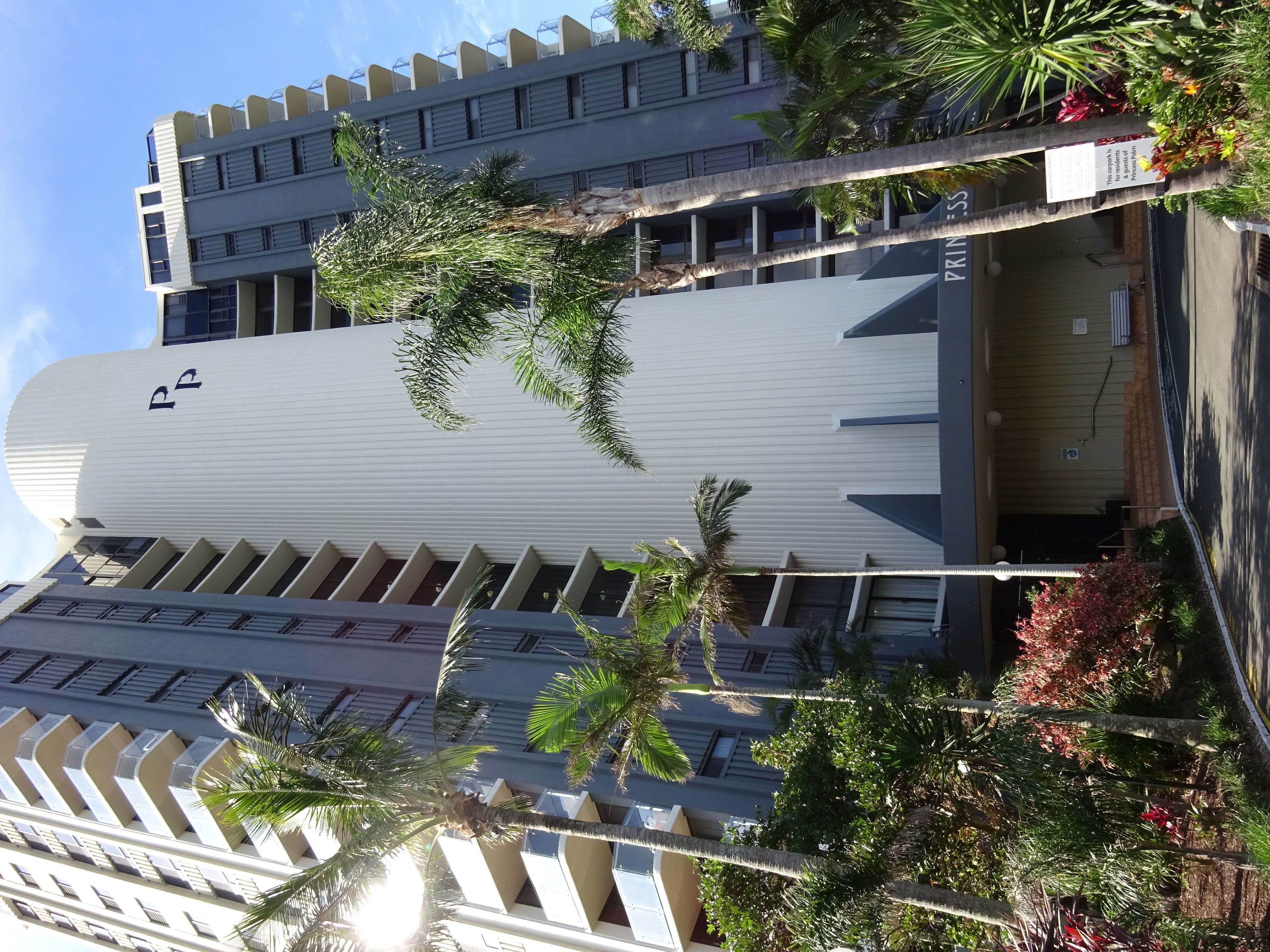 Princess Palm on the Beach — image 20