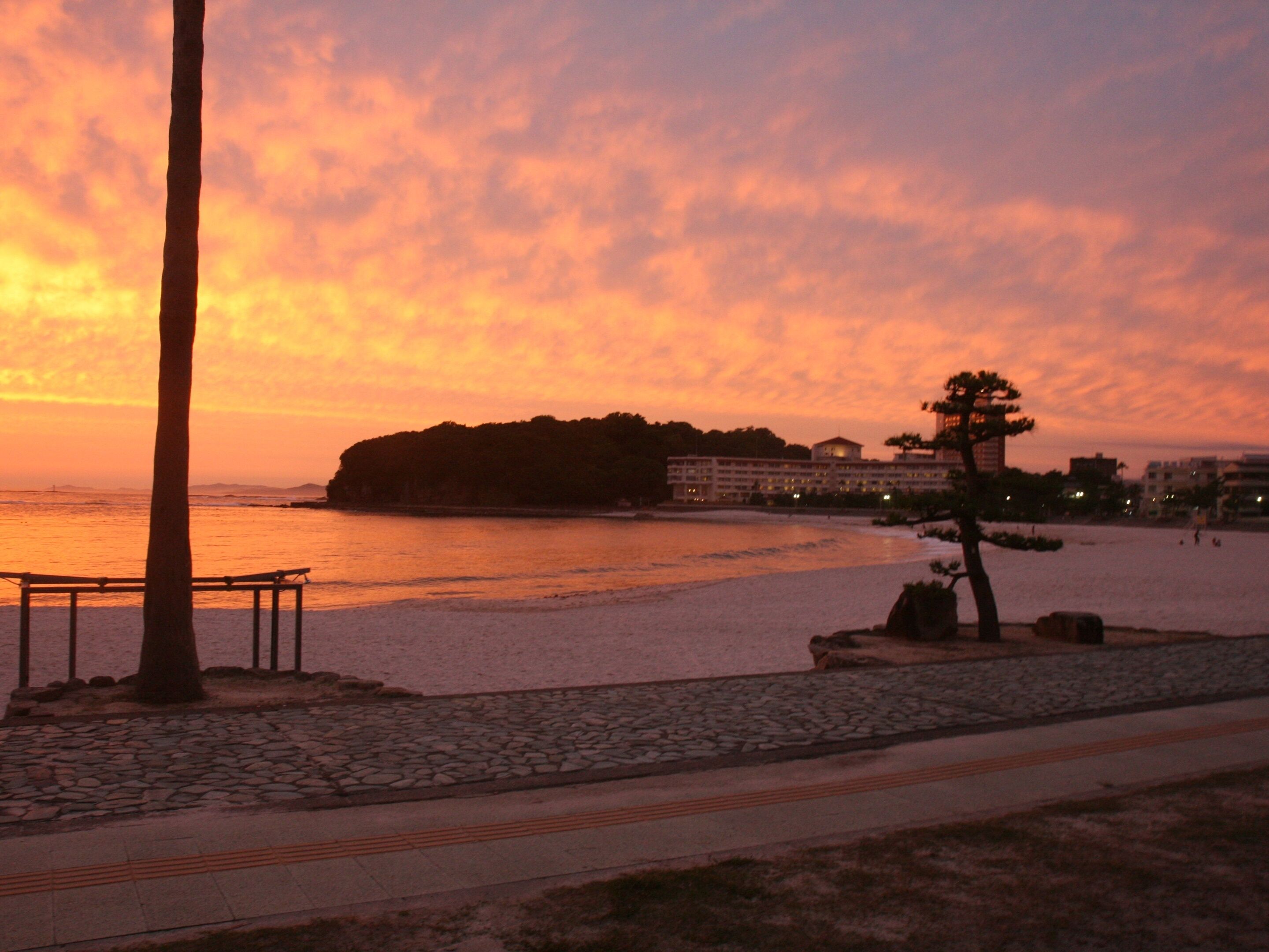 A beach scene with a stone pathway, a palm tree, and a building in the background.