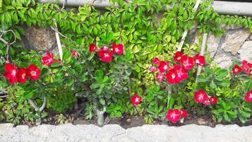 A garden with red flowers and green foliage against a stone wall.
