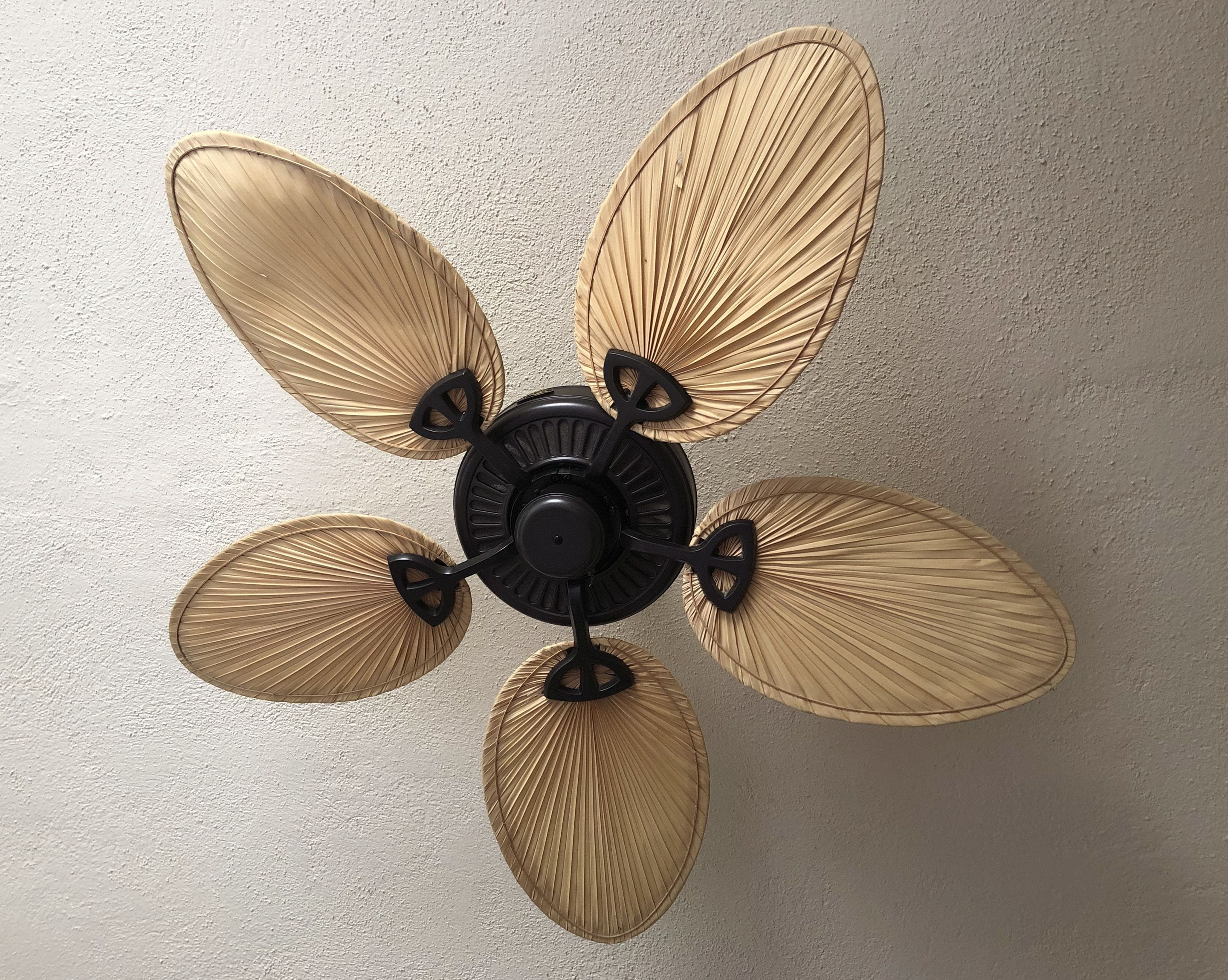 Foto - Cabo Vista Hotel Adults Only