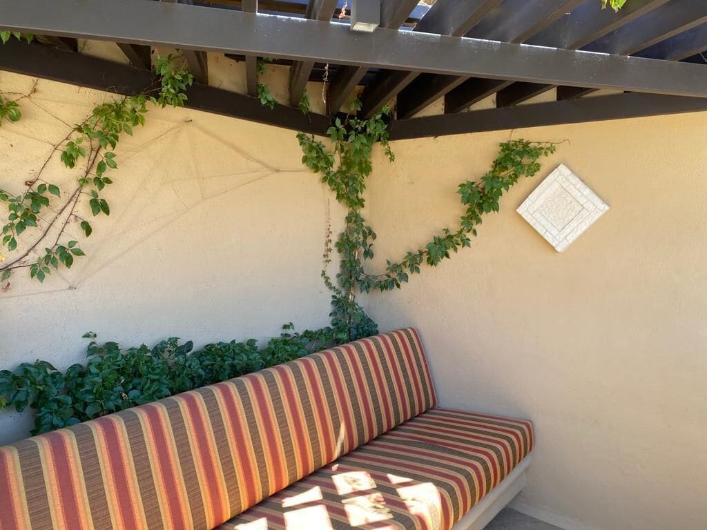 A covered outdoor seating area with a striped cushion and climbing plants on the wall.