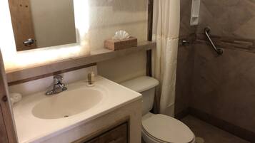 Une salle de bain avec un lavabo blanc, un miroir et des toilettes. On y trouve un rideau de douche et une barre d’appui dans l’espace réservé à la douche.