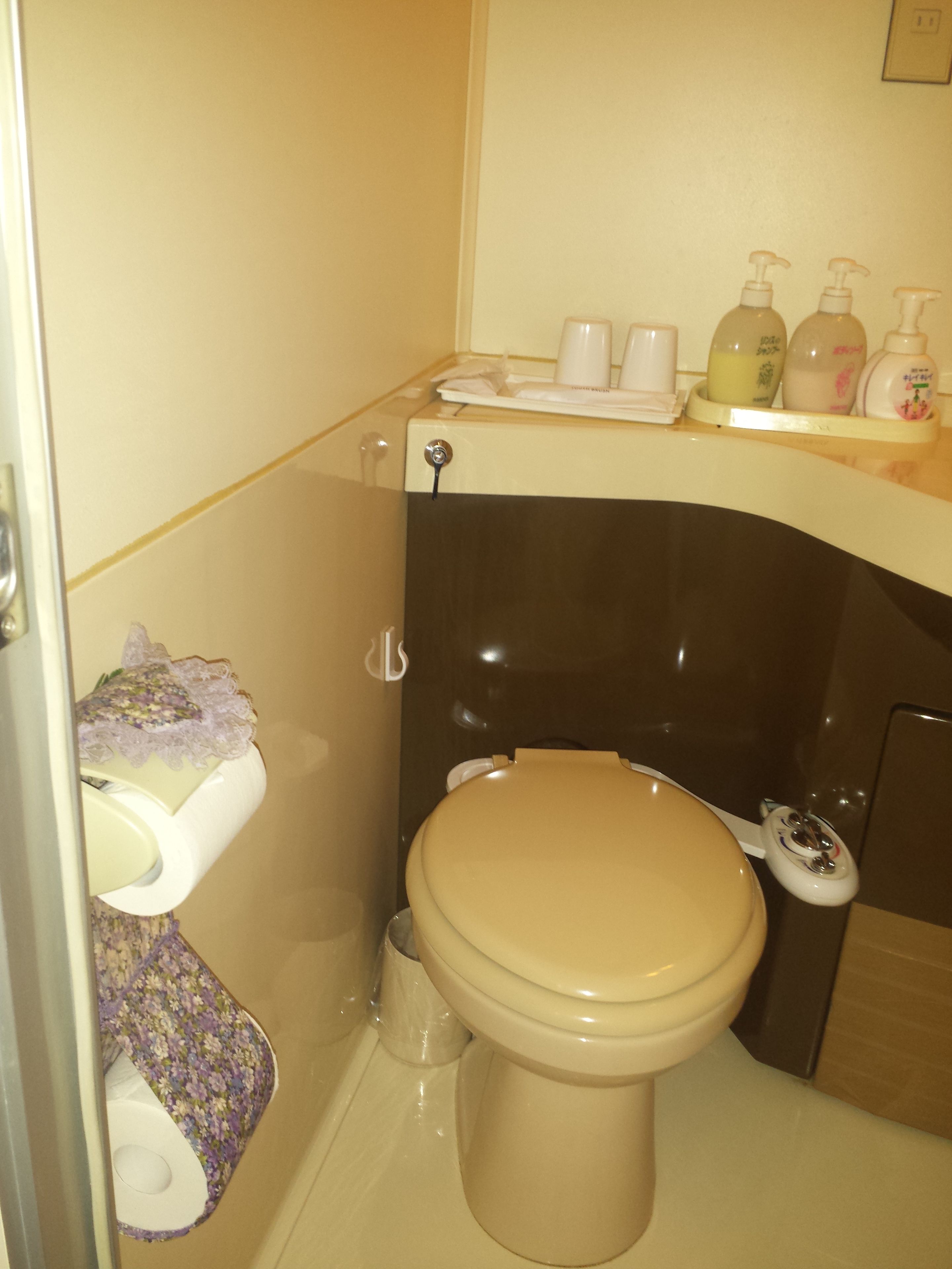 Un bagno compatto con il water, un piccolo lavandino e uno scaffale con articoli da toilette.