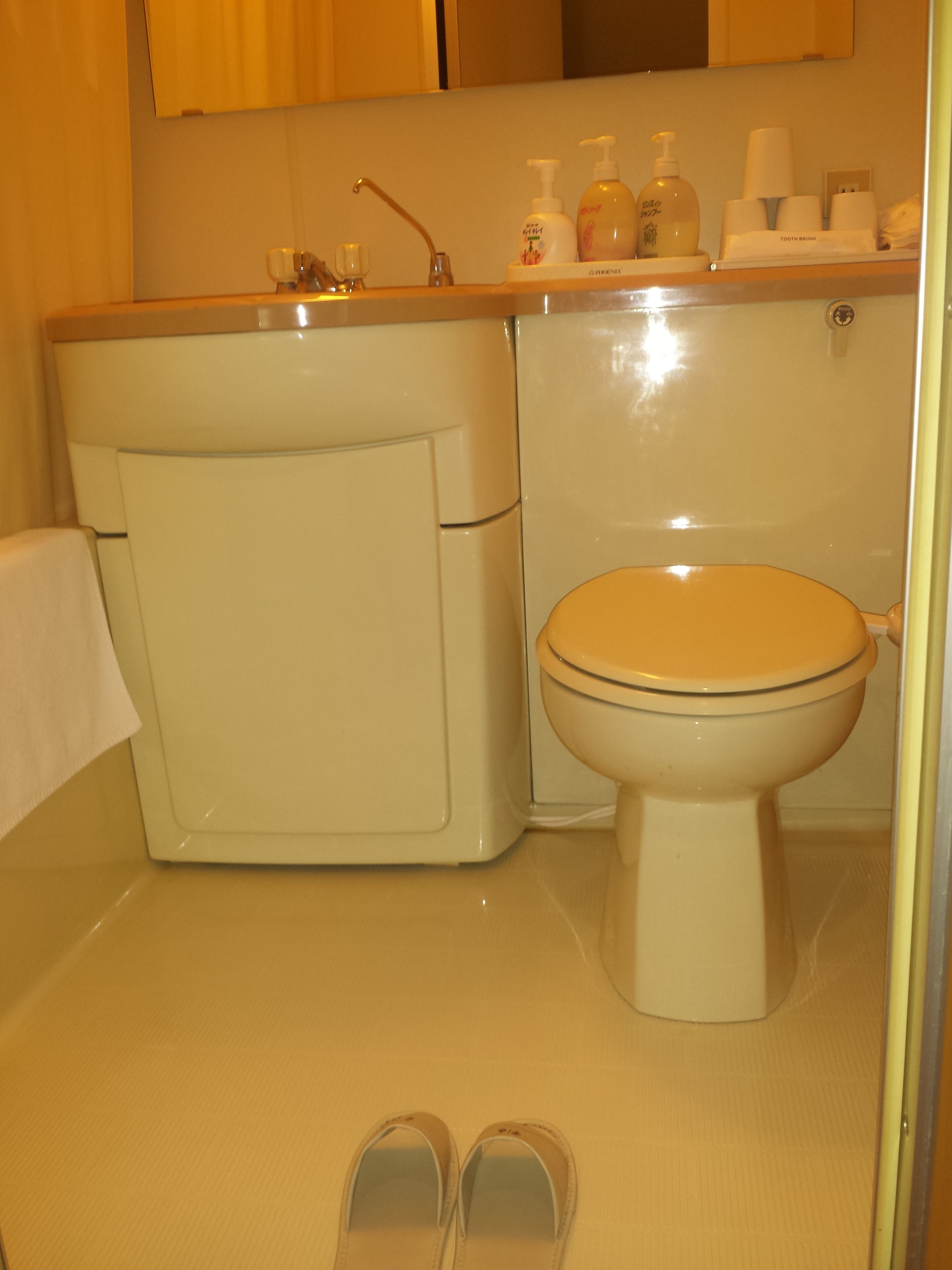 A bathroom with a toilet, a sink, and a mirror.