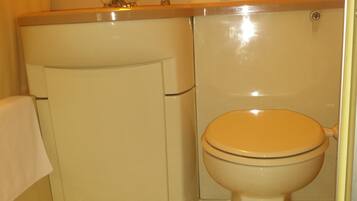 A bathroom with a toilet, a sink, and a mirror.