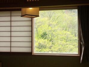 Habitación tradicional (Japanese & Western) | Vista desde la habitación