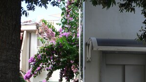 A gated entrance with a metal gate, a potted plant, and a tree trunk. - Hotel Santa Costanza (San Vincenzo)