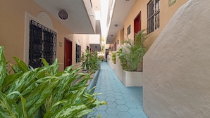Un estrecho pasillo cubierto con suelo de patrón hexagonal, flanqueado por edificios con puertas y ventanas rojas, y diversas plantas en macetas.