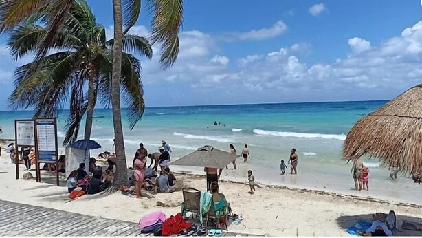 Una playa con palmeras, una sombrilla de paja y gente relajándose.