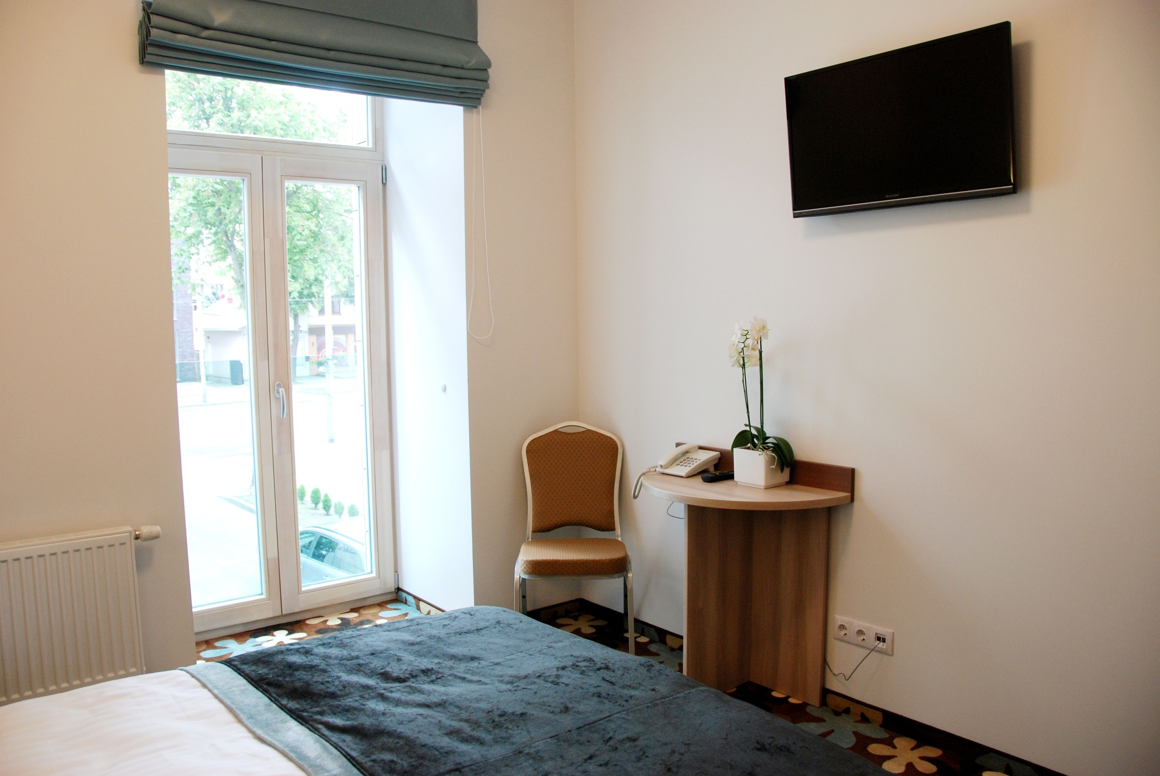 A hotel room with a bed, a chair, a small table with a phone and a plant, a TV on the wall, and a window with a view of the outside.