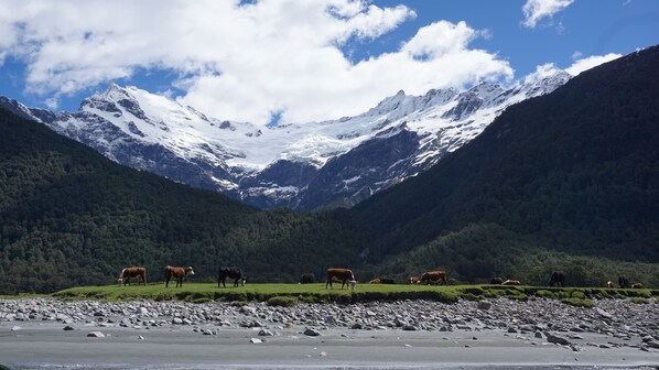 Egyptian cotton sheets, minibar, desk, iron/ironing board