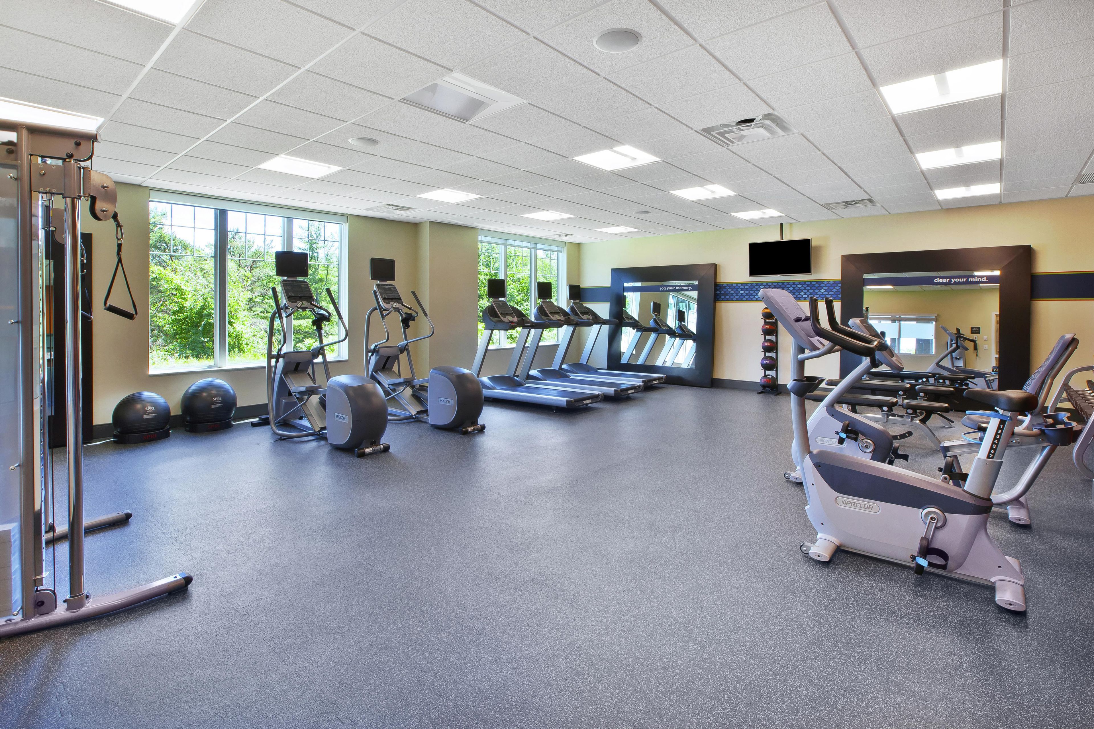 A gym with treadmills, elliptical machines, and free weights.
