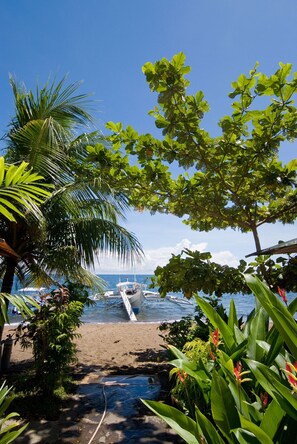 On the beach, scuba diving, snorkelling - Atlantis Dive Resort Dumaguete (Dauin)
