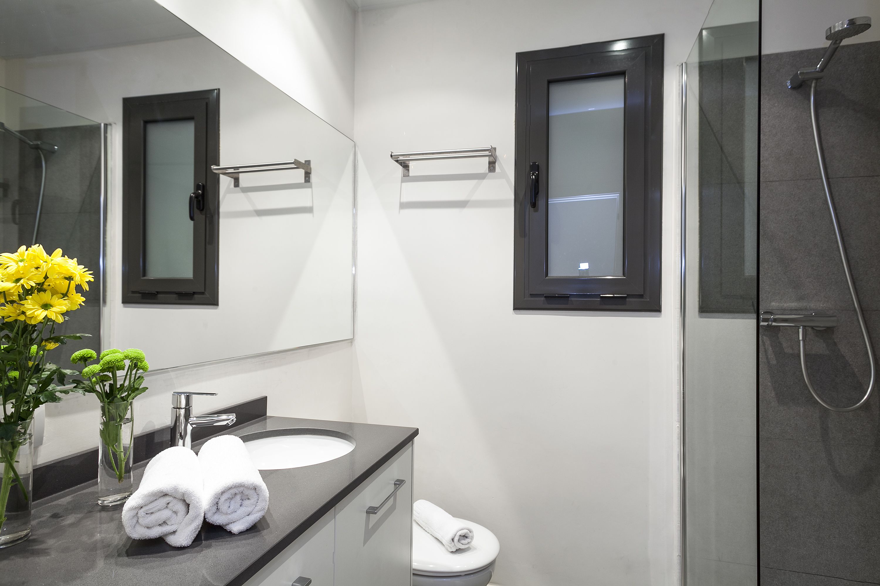 Une salle de bain moderne avec une douche à parois de verre, un meuble-lavabo et un miroir au-dessus du meuble-lavabo.
