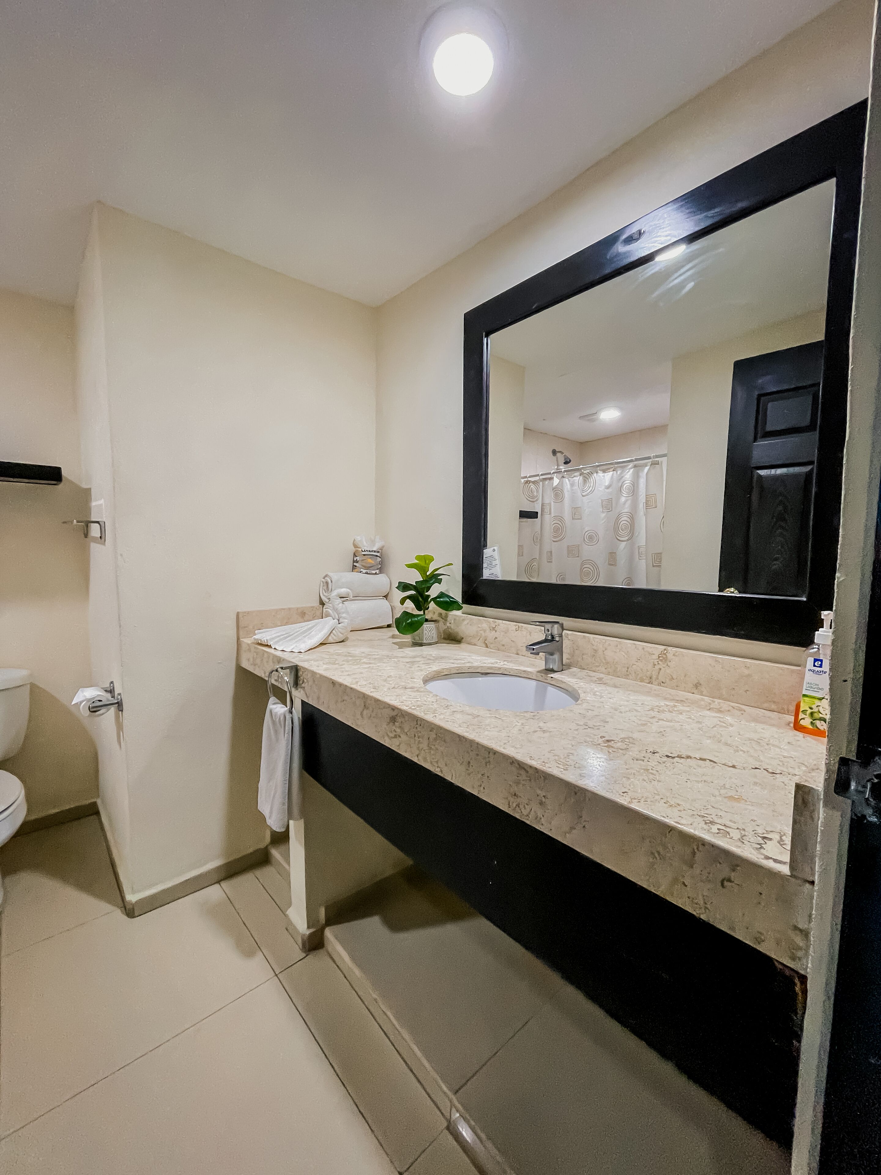 Habitación doble, vistas al mar | Baño | Ducha, artículos de higiene personal gratuitos y toallas