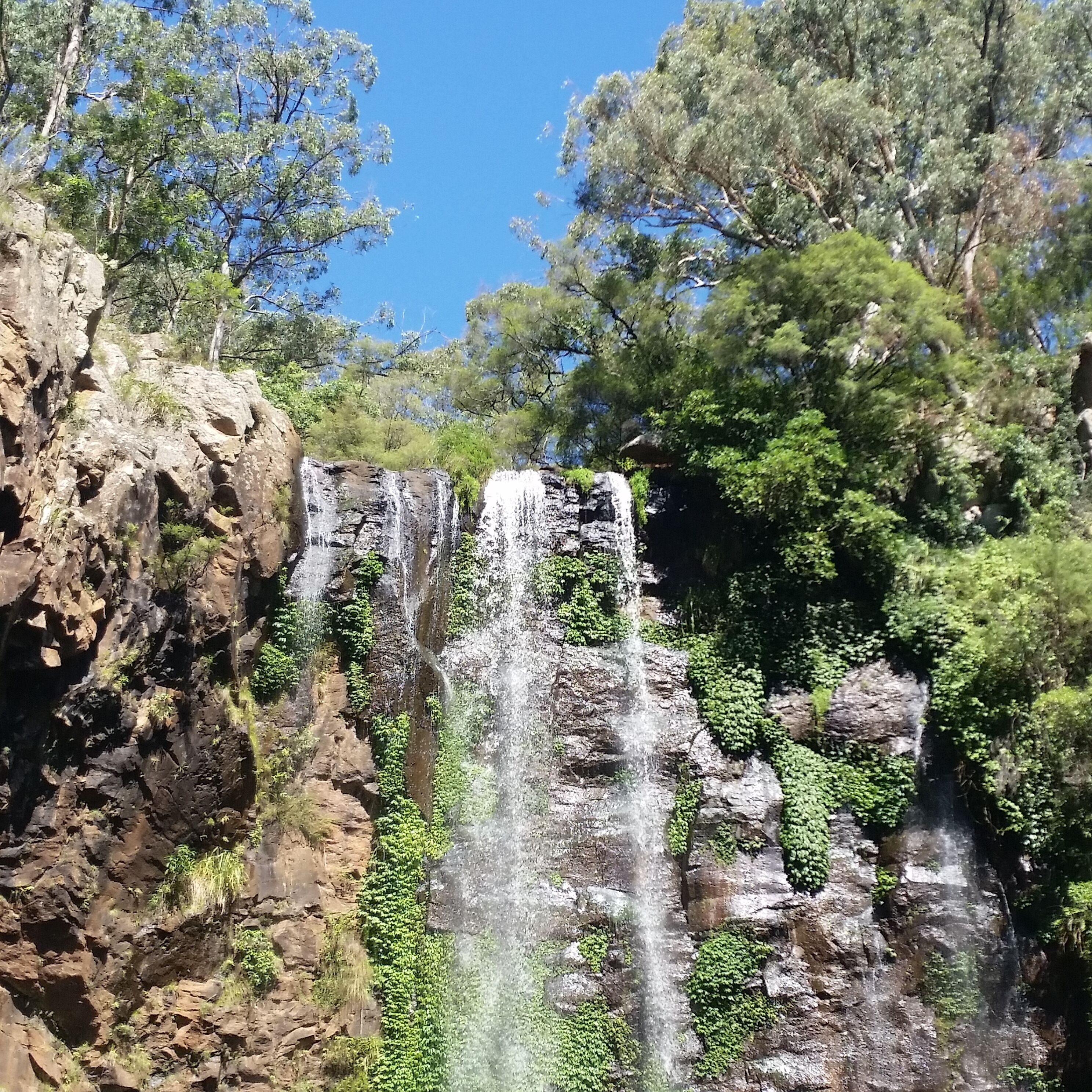 A waterfall cascading down a rocky cliff surrounded by dense green foliage.