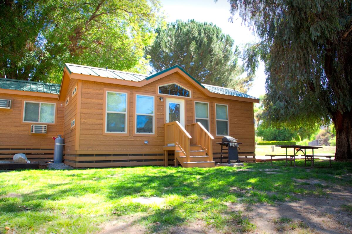 A wooden cabin with a porch, a picnic table, and a large tree nearby.