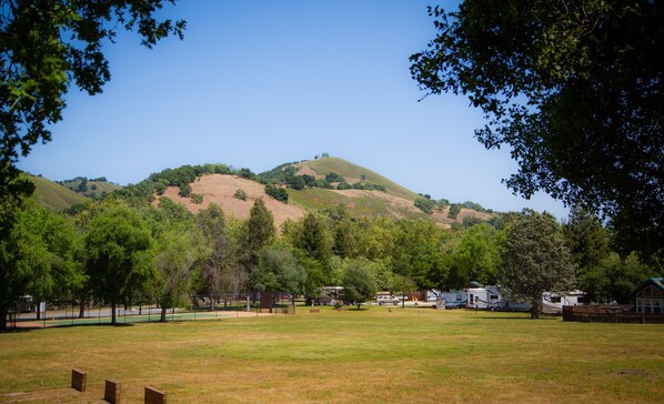 A campground with RVs, a grassy field, trees, and a hill with sparse vegetation. - Morgan Hill RV Resort - Campsite (Gilroy)