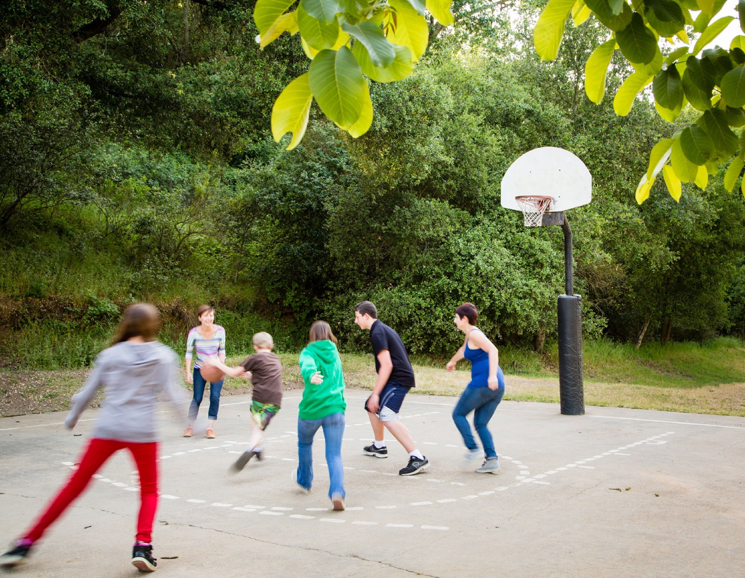 Basketball court