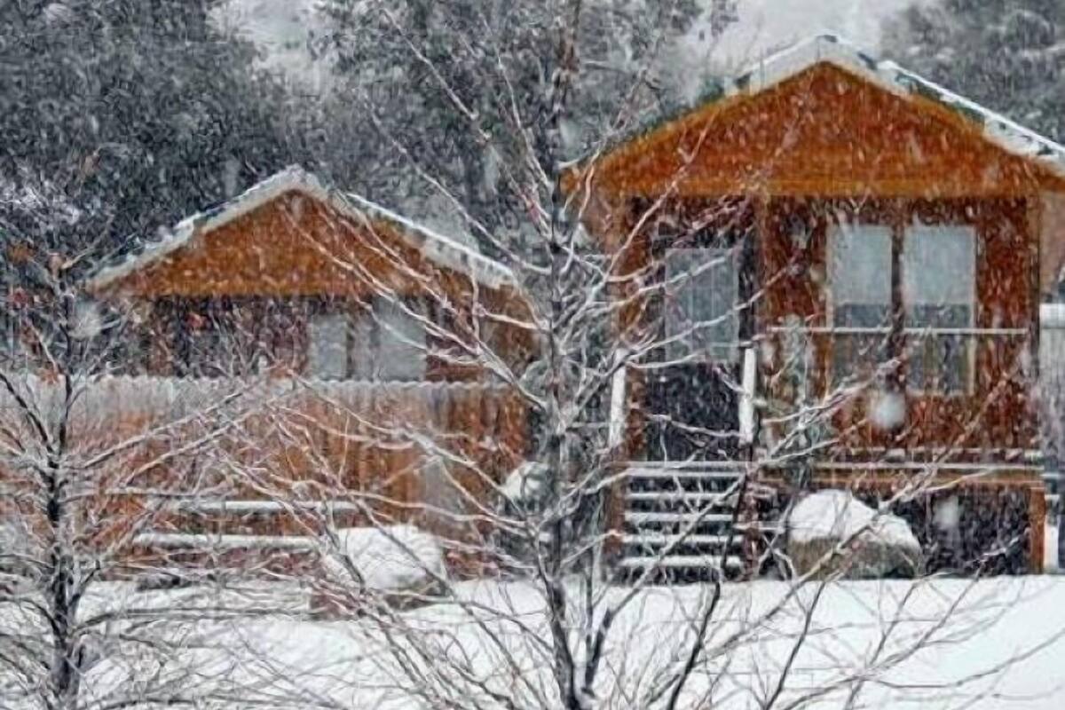 A cabin with a wooden exterior and a porch, surrounded by snow-covered trees.