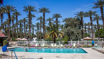 Outdoor pool, sun loungers
