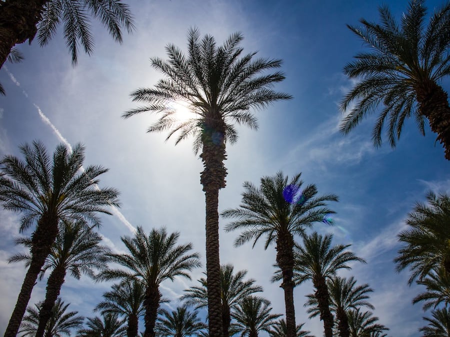 Área da propriedade