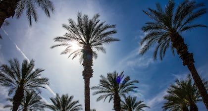 Palm Springs RV Resort