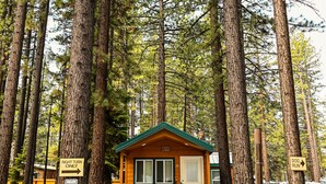 A cabin with a green roof and beige walls, surrounded by tall pine trees. There are signs indicating a right turn only and a dog run to the right.