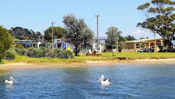 Una propietat a primera línia de mar amb una platja de sorra, una zona enjardinada i un edifici amb teulada verda.