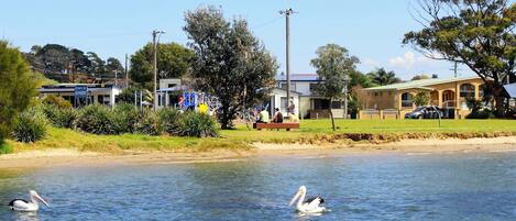 Una propiedad frente al agua con playa de arena, zona ajardinada y un edificio con techo verde.