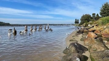 Uitzicht op strand/zee