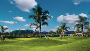 WiFi (surcharge) - Clerbrook Golf & RV Resort - Caravan Park (Clermont)
