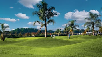 WiFi, wheelchair access