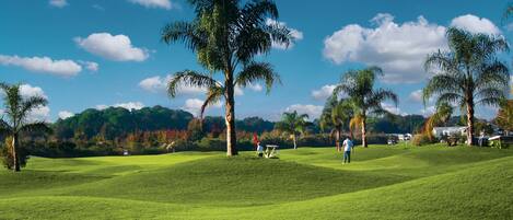 WiFi, wheelchair access