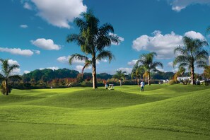 WiFi, wheelchair access