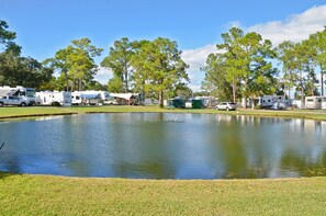 Lake - Southern Palms RV Campground Resort (Eustis)