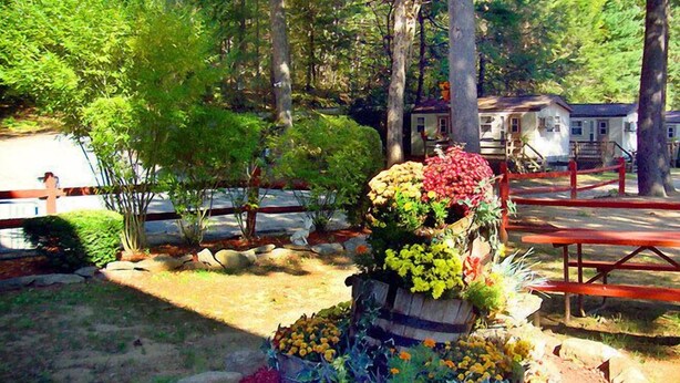 A garden with a wooden planter filled with colorful flowers, a picnic table, and a house in the background. - Sturbridge RV Resort - Campground (Sturbridge)