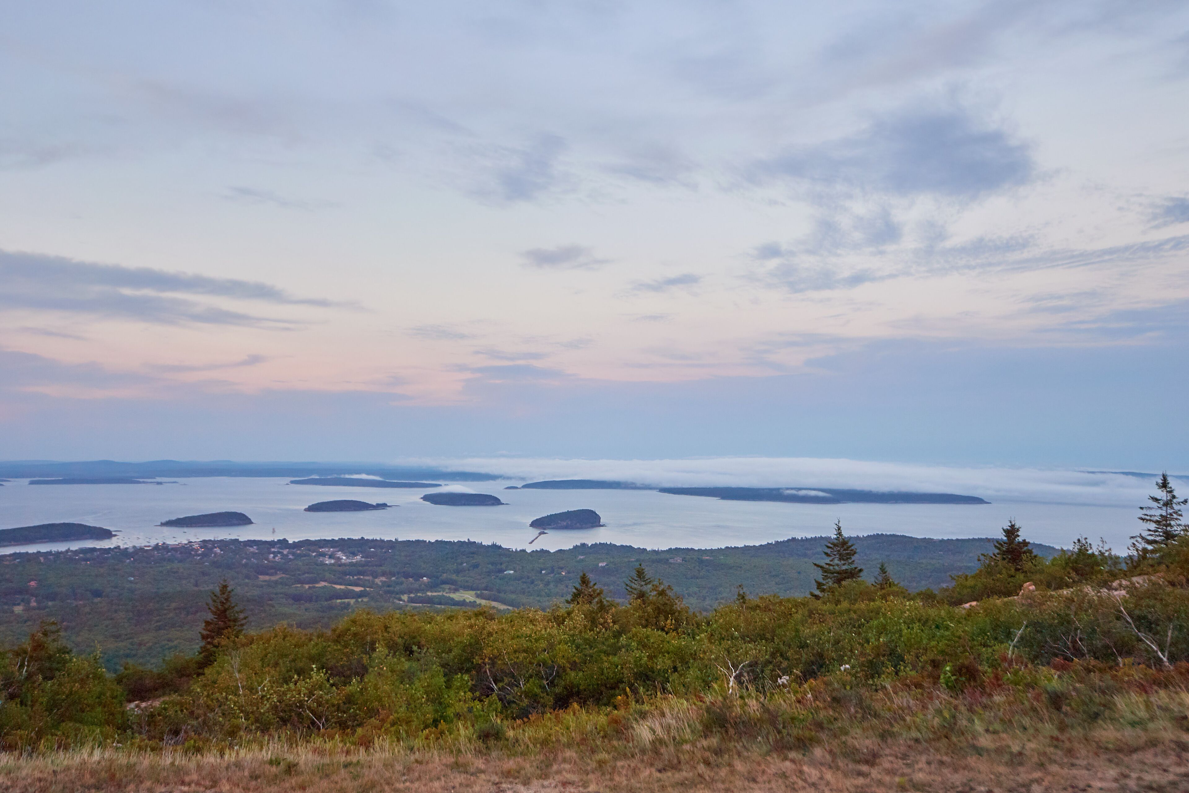 A panoramic view of a coastal landscape with multiple islands and a forested area in the foreground.
